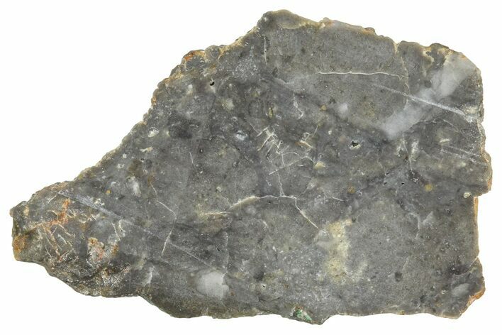 NWA Lunar Meteorite ( g) Slice #360598